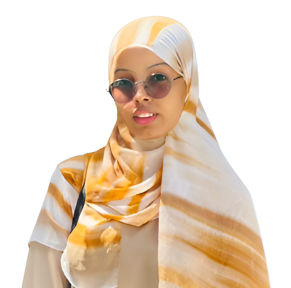 Multimedia Designer